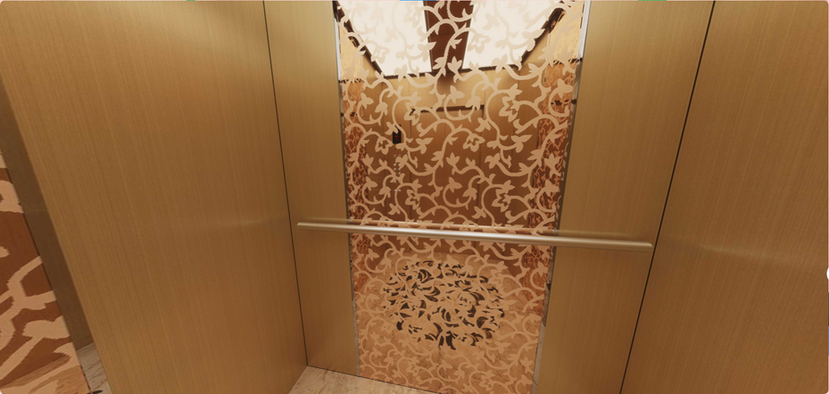 Conception de cabine d'ascenseur SC-J023 avec options de levage personnalisées
