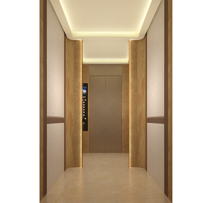 Décoration d'ascenseur/cabine d'ascenseur FJ-J038 : Guide pratique